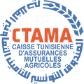 CTAMA Group