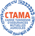 Groupe CTAMA