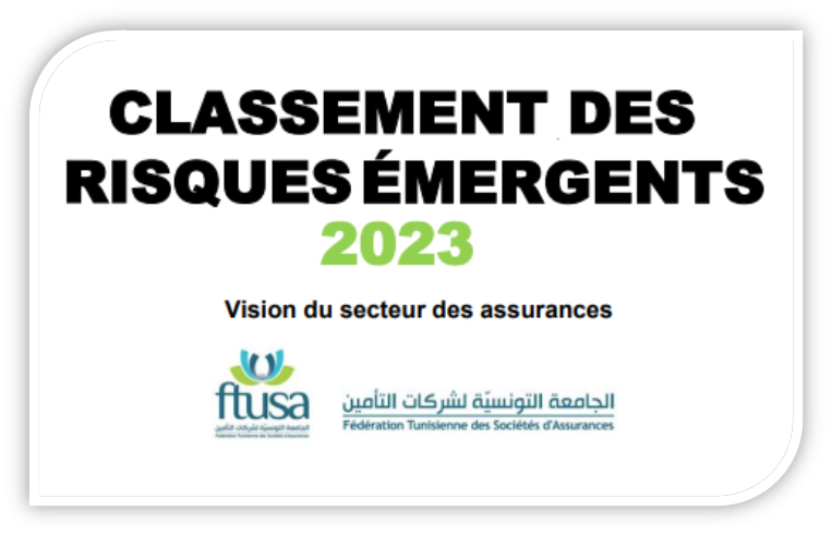 Classement des risques émergents 2023